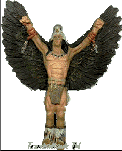 Standing Hawk
