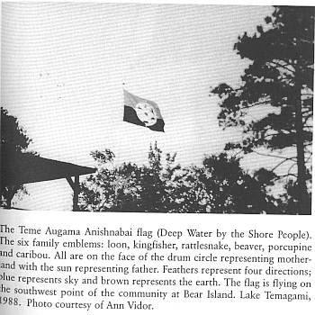 TAA flag