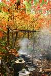 cooking fire