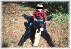 bear hunter in temagami