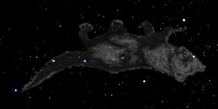 Fisher - Big Dipper - Ursa Major