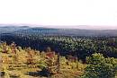 Maple mountain lookout