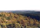 Maple mountain lookout