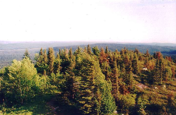 Maple mountain lookout south 