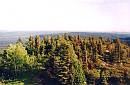 Maple mountain lookout