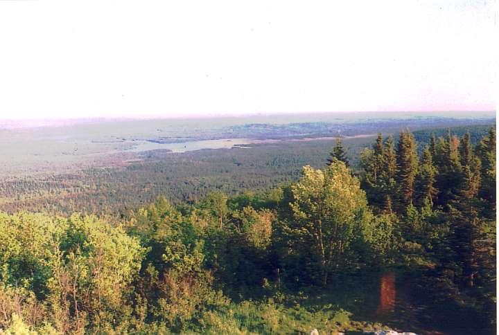 Maple mountain lookout SE