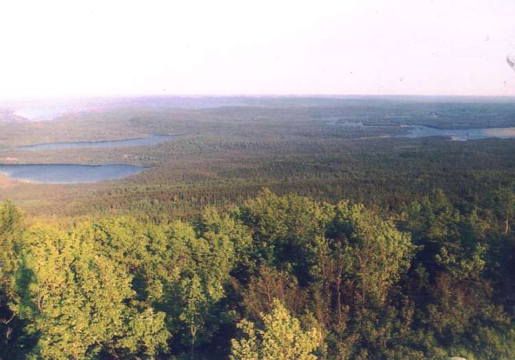 Maple mountain lookout east