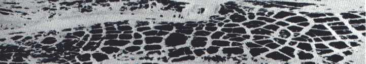 Natural Grid: Frost Cracks in Canadian High Arctic Tundra