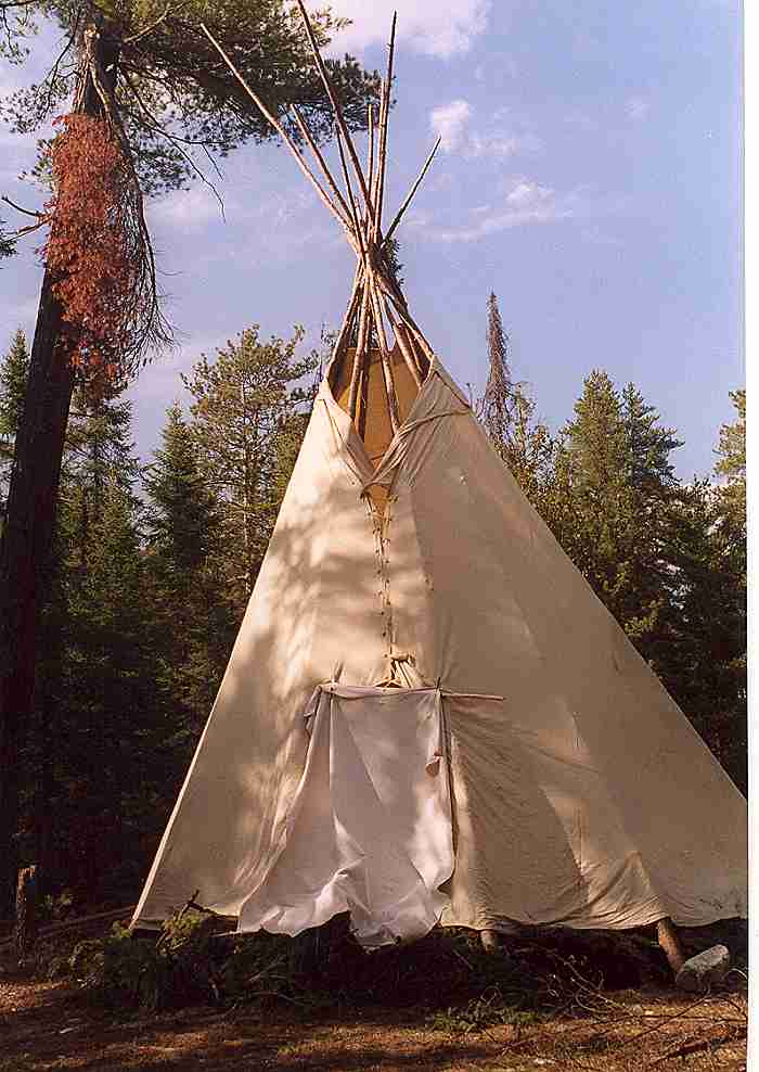 Tipi