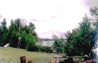 Rabbit island camp