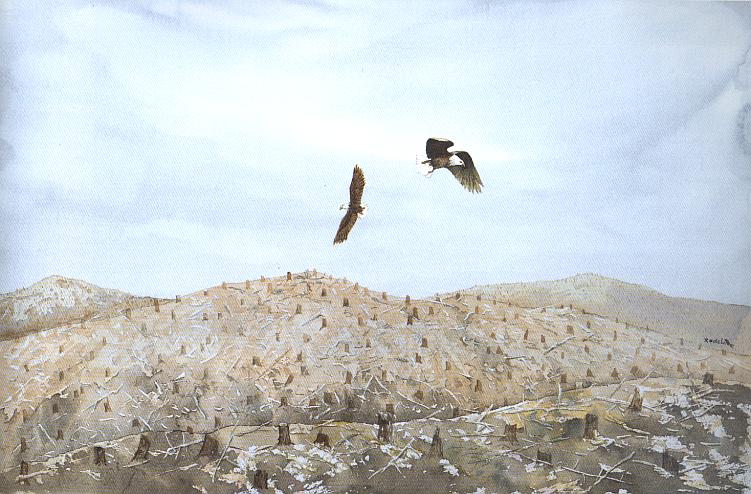 No Place to Nest